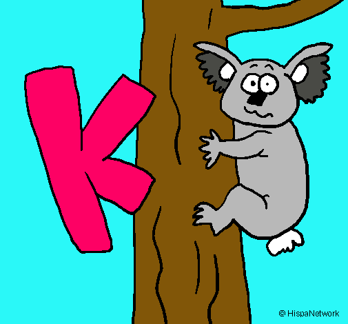 Koala