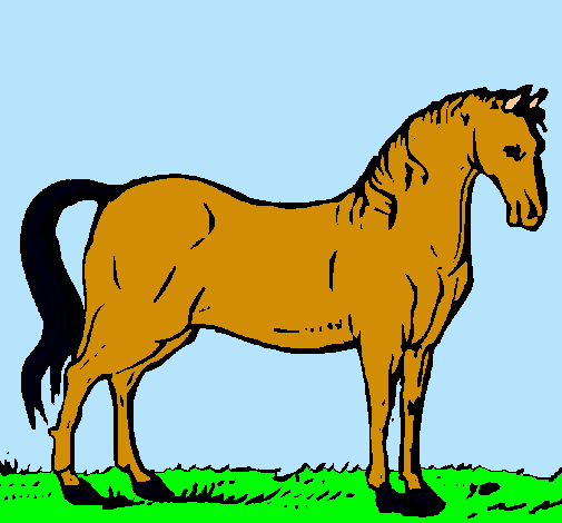 Caballo andaluz