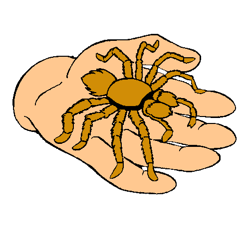 Tarántula