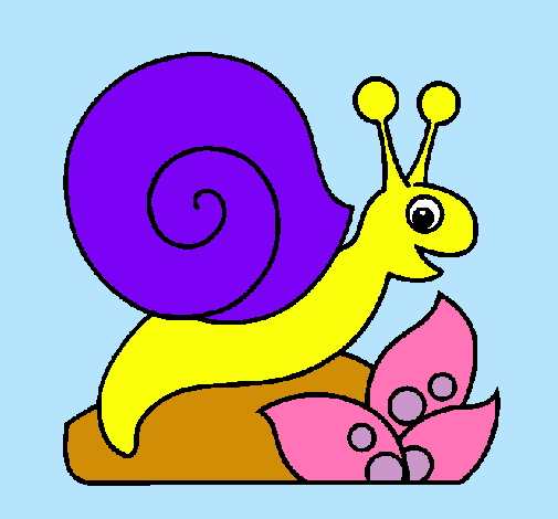 Caracol