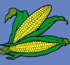 Dibujo Mazorca de maíz pintado por bracho