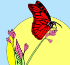 Dibujo Mariposa en una rama pintado por Erika 