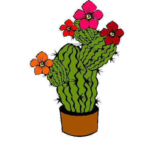 Flores de cactus