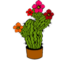 Dibujo Flores de cactus pintado por APHI