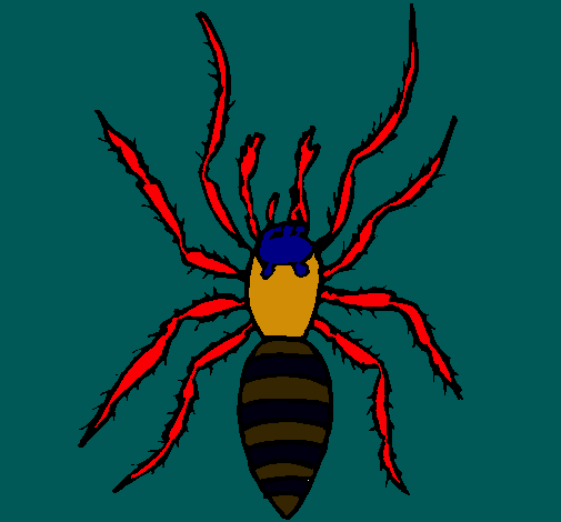 Araña tigre