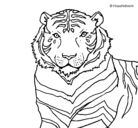 Dibujo Tigre pintado por normanpineda