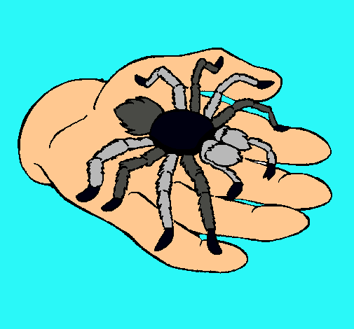 Tarántula