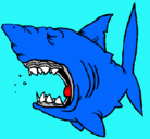 Dibujo Tiburón pintado por anthoam