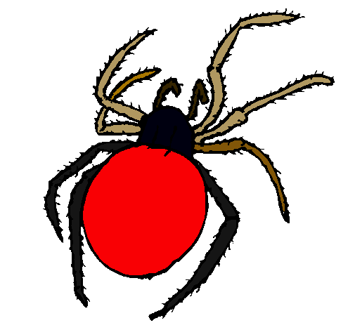 Araña venenosa