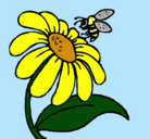 Dibujo Margarita con abeja pintado por laxiorma