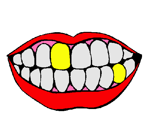 Boca y dientes