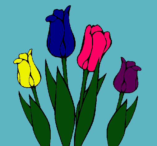 Tulipanes