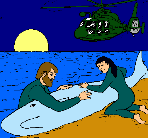 Dibujo Rescate ballena pintado por camilito