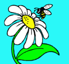 Dibujo Margarita con abeja pintado por maariiaa