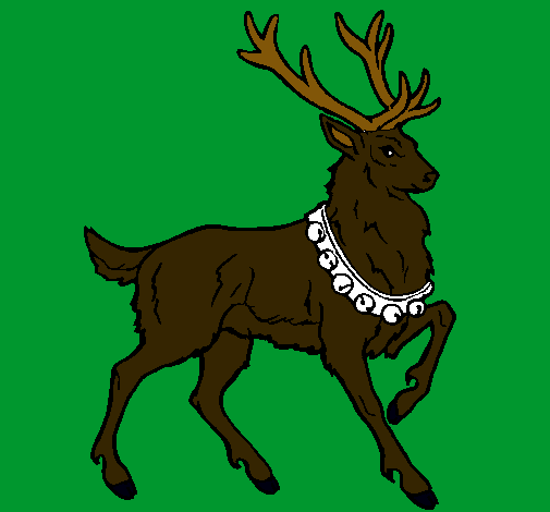 Venado