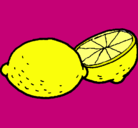 Dibujo limón pintado por bruna