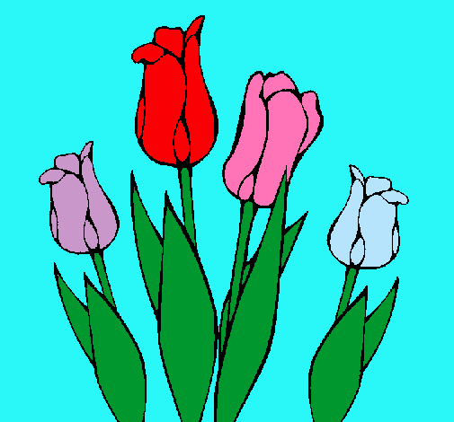 Tulipanes