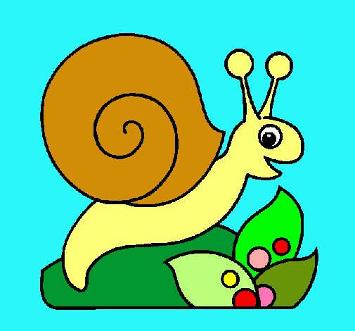 Caracol