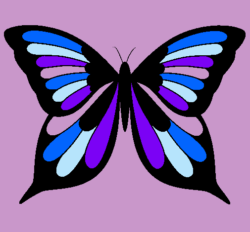 Mariposa