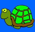 Dibujo Tortuga pintado por coqius