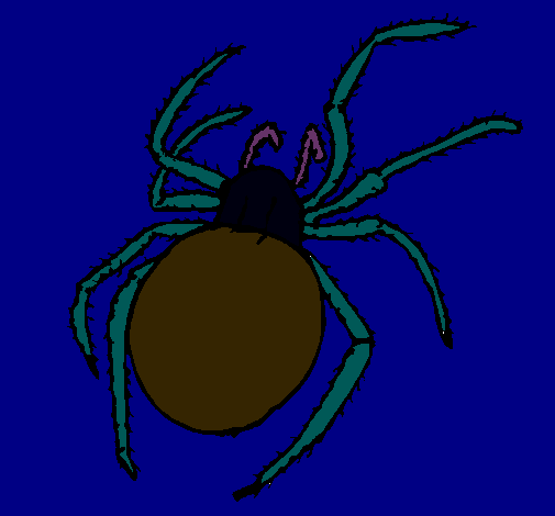 Araña venenosa