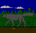 Dibujo Coyote pintado por migel