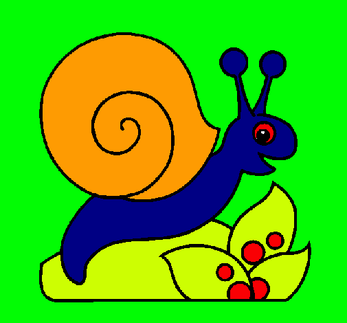 Caracol