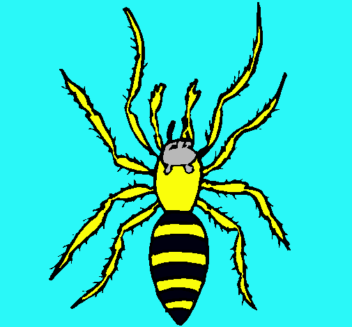 Araña tigre