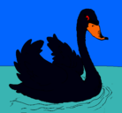 Dibujo Cisne en el agua pintado por PINTADO