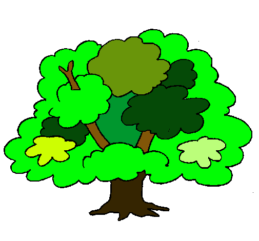 Árbol