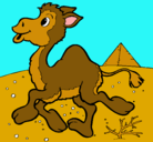 Dibujo Camello pintado por montana