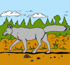 Dibujo Coyote pintado por joseluis25