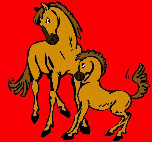 Caballos