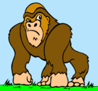 Dibujo Gorila pintado por giuseppe