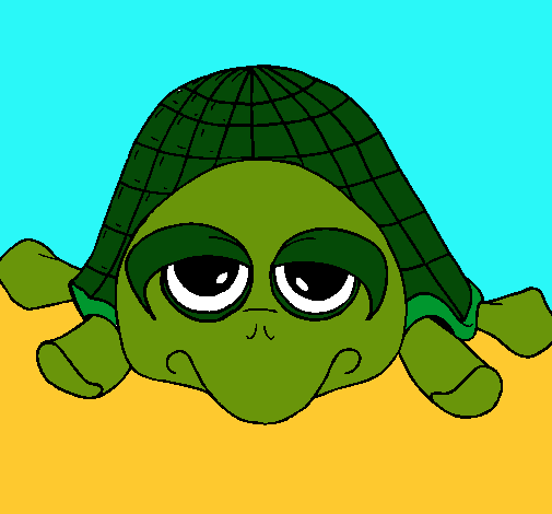 Tortuga