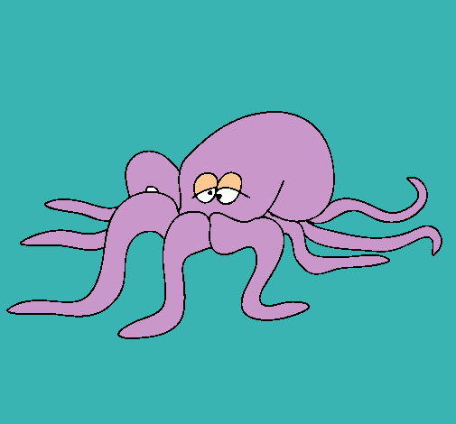 Pulpo