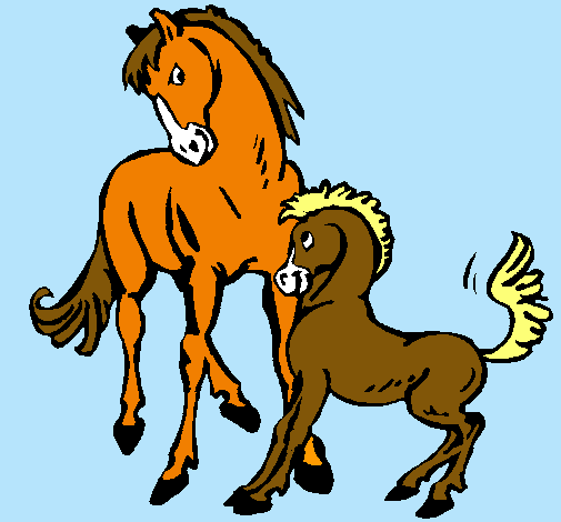 Caballos