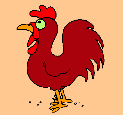 Gallo de granja