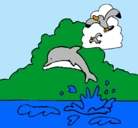 Dibujo Delfín y gaviota pintado por ccmc