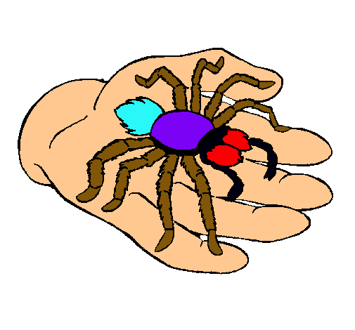 Tarántula