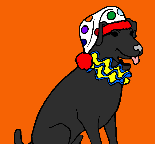 Perro payaso