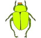 Dibujo Escarabajo pintado por yoopy