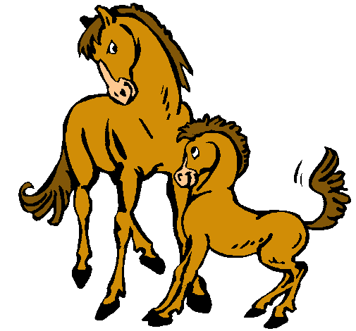 Caballos