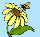 Dibujo Margarita con abeja pintado por elichita