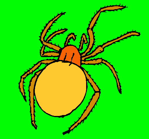 Araña venenosa