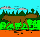 Dibujo Coyote pintado por sauropodo