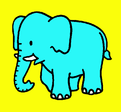 Elefante bebe