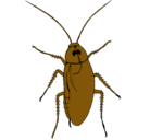 Dibujo Cucaracha grande pintado por preescolar
