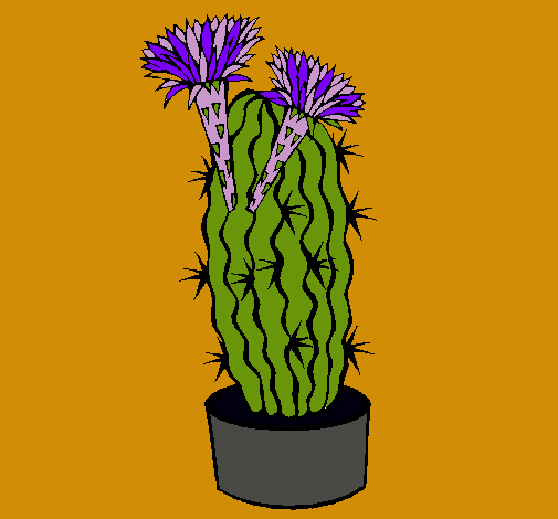 Cactus con flores