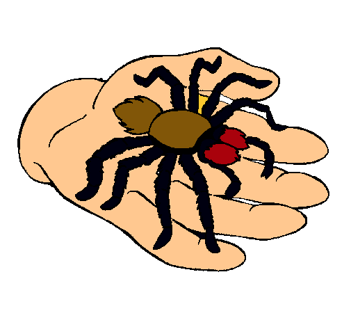 Tarántula